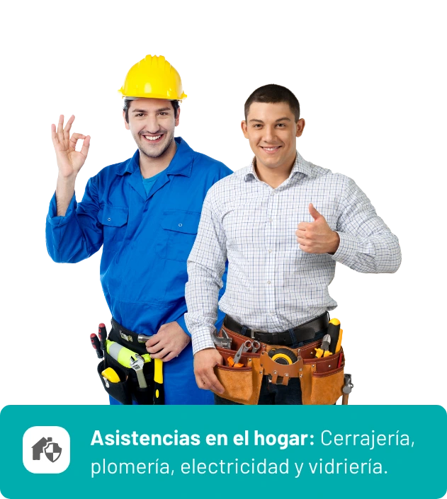 asistencias de hogar